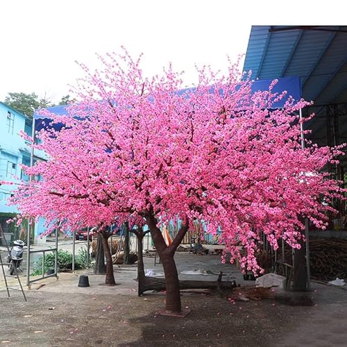 SIBEG FRP Künstliche Kirschblütenbäume – großer Blütenbaum – rosa – echte Holzstiele und lebensechte Blätter, Nachbildung Einer künstlichen Pflanze, 4,5 x 5 m von SIBEG