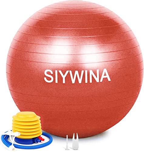 SIYWINA Gymnastikball Sitzball Dicker Anti-Burs von SIYWINA