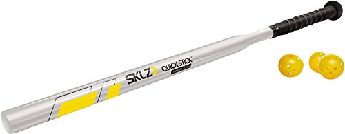 SKLZ Power Stick Baseball und Softball Trainingsschläger für Stärke, Unisex, 0011, Silber, 12-Ounce von SKLZ