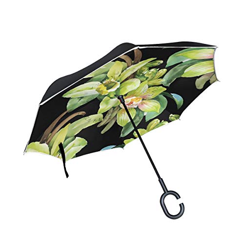 SKYDA Umgekehrter faltbarer Regenschirm mit floralem Hintergrund mit Orchideenblüte, umgekehrte Regenschirme, doppellagig, winddicht, Regenschirm für Autoregen im Freien mit C-förmigem Griff von SKYDA