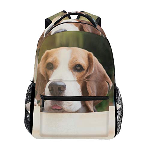School Backpacks Beagle Dogs Are Looking Student Backpack Big for Girls Kids Elementary School Shoulder Bag Bookbag von SKYDA
