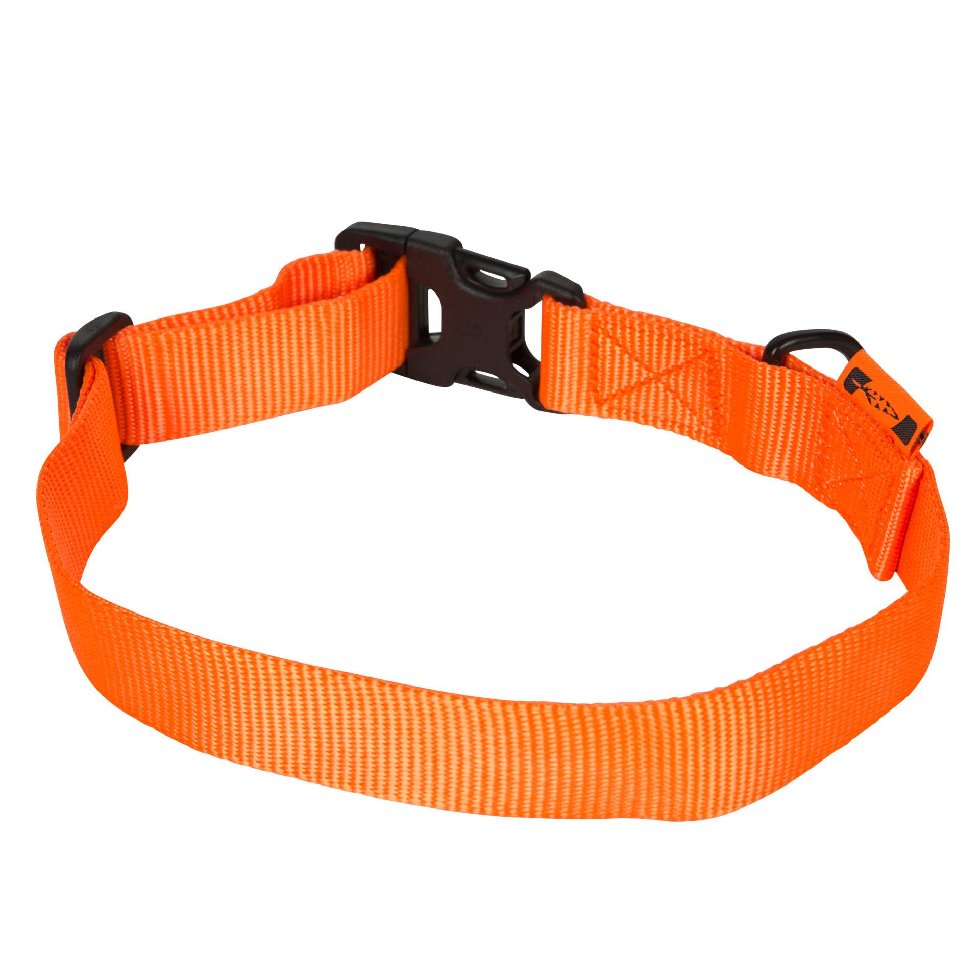 Hundehalsband orange100 von SOLOGNAC