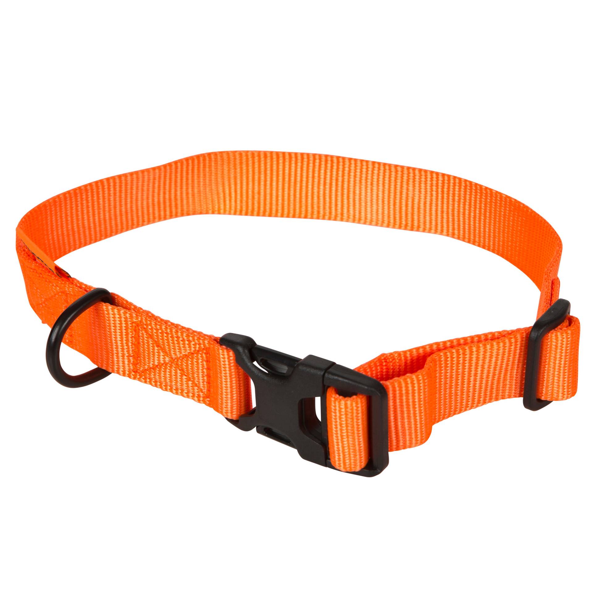 Hundehalsband orange100 von SOLOGNAC