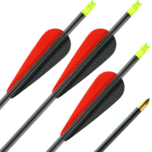 SPHERE a new dimension in arrows 6er Pack Carbonpfeil LithoSPHERE Black - mit Vanes Spine 1300, 26 Zoll, für Pfeil und Bogen von SPHERE a new dimension in arrows