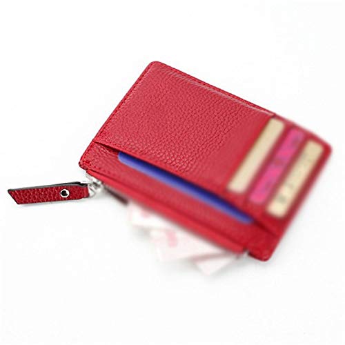 SSWERWEQ Geldbeutel Damen Leder-Mappen-Kartenhalter-Karten-Mappen-Frauen-Reißverschluss-Münzen-Tasche Ultra Thin Wallet (Color : Red) von SSWERWEQ