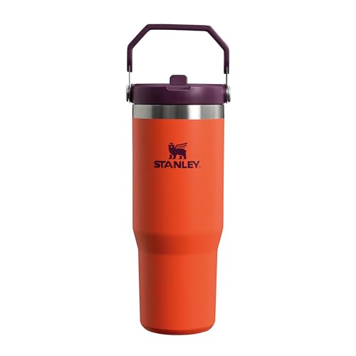 Stanley IceFlow Flip Straw Trinkflasche mit Strohhalm 0.89L - Thermosflasche Hält 12+ Stunden Kalt - Auslaufsicher - Trinkflasche Sport - Wasserflasche BPA Frei - Spülmaschinenfest - Tigerlily Plum von STANLEY