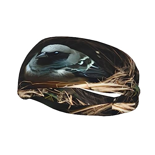 Little Bird Nest Sport-Stirnband für Männer und Frauen, geeignet für Laufen, Yoga, Basketball, elastisches Feuchtigkeitsband. von STejar