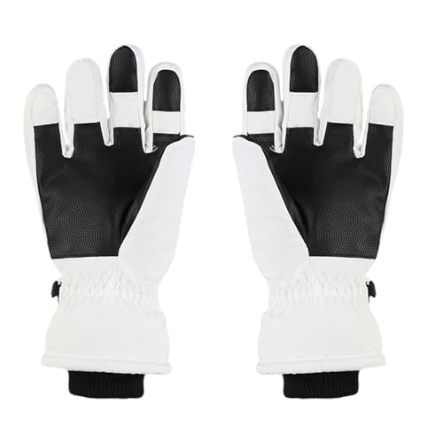 SUMMITDRAGON Winddichte Skihandschuhe Berührende Bildschirm Winter Warme Handschuhe Winter Snowboard Für Frauen Mann Ski Snowboarden Isoliert von SUMMITDRAGON