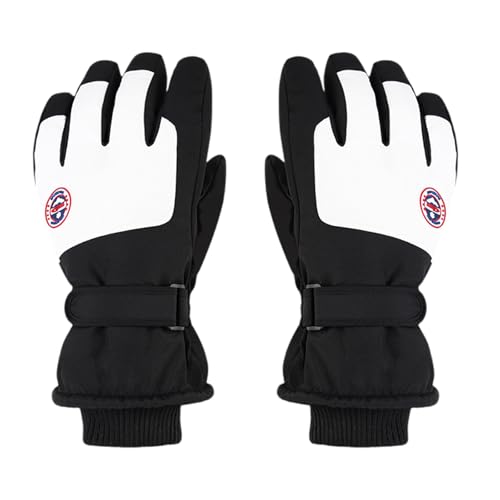 SUMMITDRAGON Winddichte Skihandschuhe Berührende Bildschirm Winter Warme Handschuhe Winter Snowboard Für Frauen Mann Ski Snowboarden Isoliert von SUMMITDRAGON
