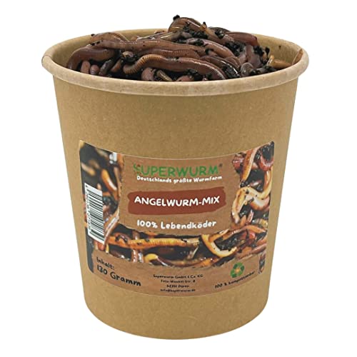 130g Angelwurm-Mix | 100% kompostierbare Köderdose - hoch aktive Angelköder - Lebendköder - Dendrobena von SUPERWURM