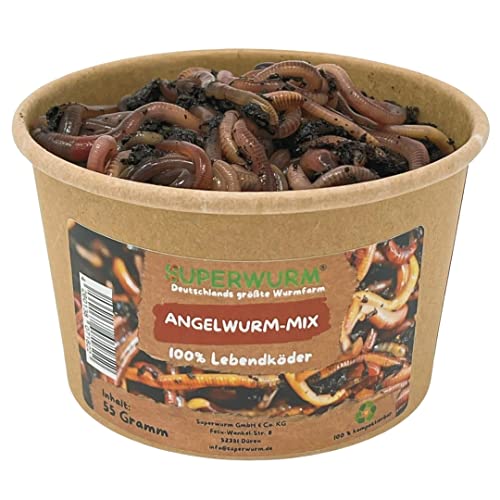 55g Angelwurm-Mix | 100% kompostierbare Köderdose - hoch aktive Angelköder - Lebendköder - Dendrobena von SUPERWURM