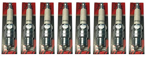 Zündkerze 8er Set Mercruiser V8 GM Modelle Champion RV15YC4 Spark Plug von Saarwebstore