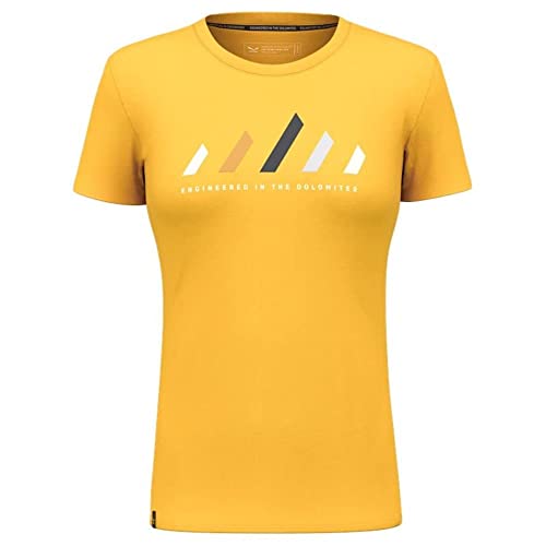 Salewa Unisex Pure Stripes Dry W T-Shirt, Gold, XL EU von Salewa