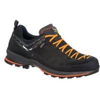 Zustiegs- und Wanderschuhe Mountain Trainer 2 GTX (Herren) – Salewa von Salewa