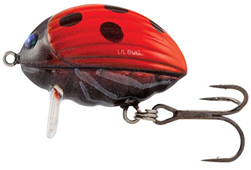 Salmo Lil Bug 2cm 2,8g - Wobbler, Salmo Farben:Lady Bird von Salmo