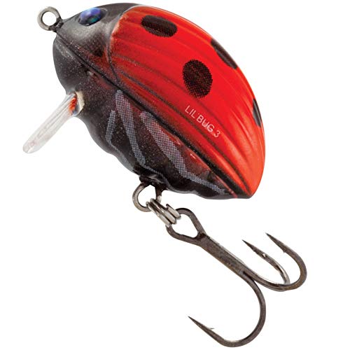 Salmo Lil Bug Wobbler 3cm 4,3g schwimmend, Farben:Ladybird von Salmo