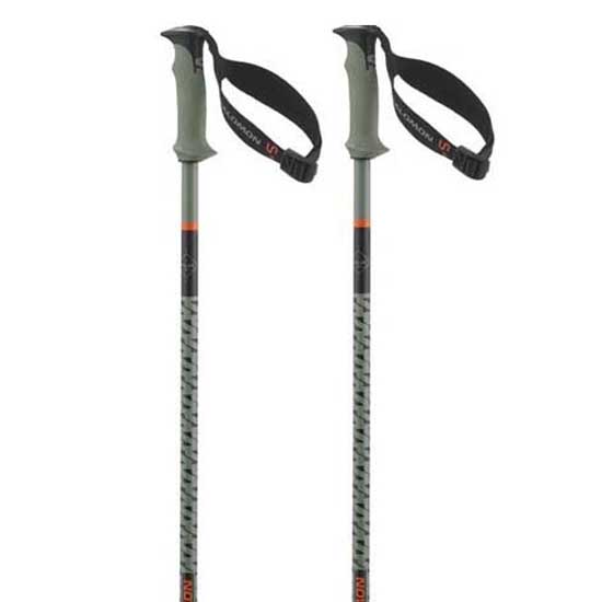Salomon Polar Pro S3 Poles Silber 115 cm von Salomon