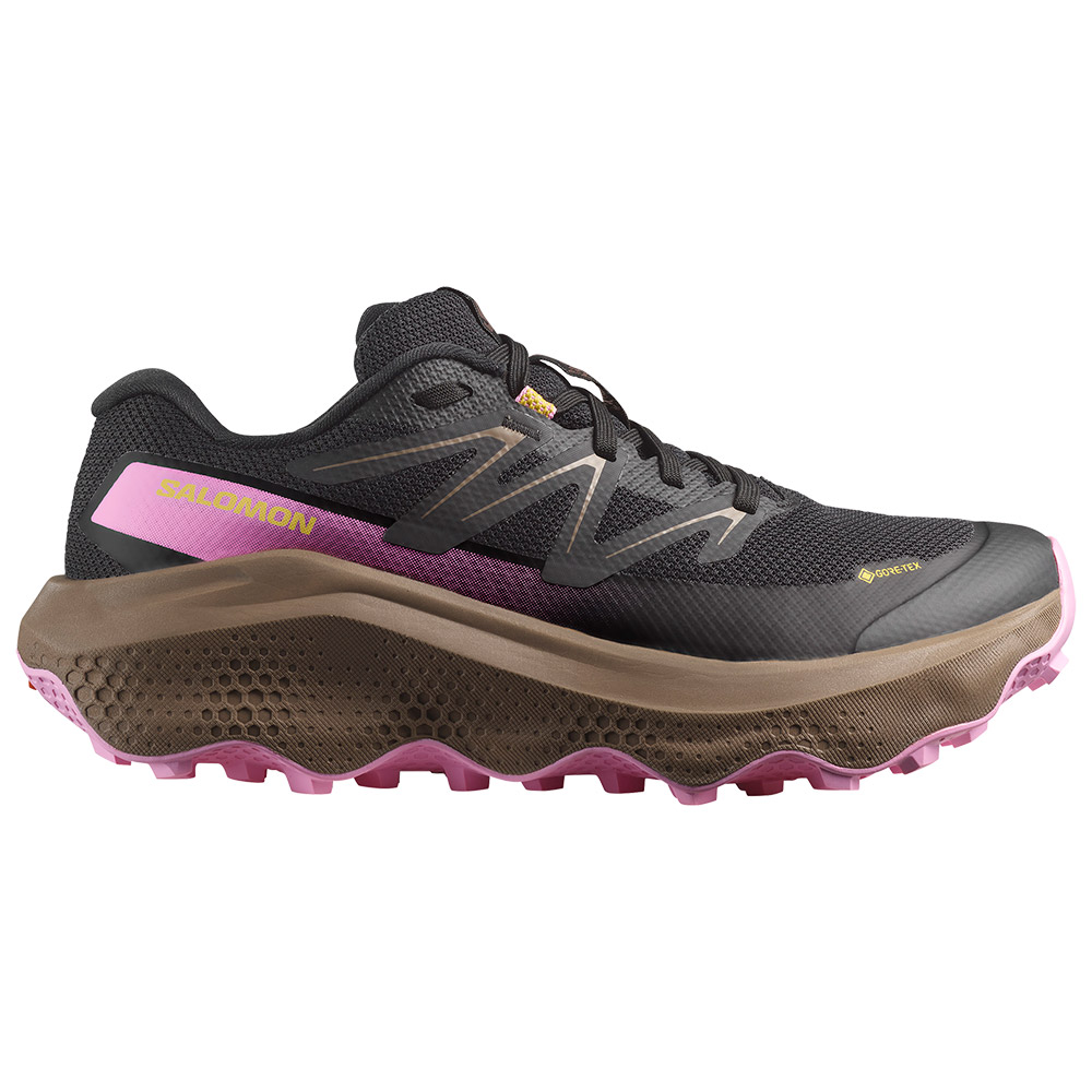 Salomon Ultra Flow 2 Goretex Trail Running Shoes Schwarz EU 38 2/3 Frau von Salomon