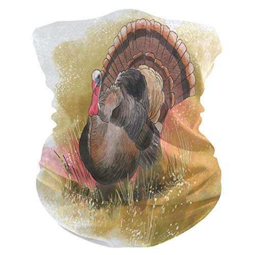 Kunst Niedlichen Truthahn Gesichtsmaske Schlauchtuch Kopftuch Stirnband Bandanas Kopfbedeckung Halstuch Gesichtsschal Für Männer Frauen Den Sport von Sawhonn