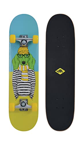 Schildkröt® Skateboard Kicker 31, Komplett-Board mit tollen Features für Einsteiger, konkave Deckform mit Doppel-Kick und Griptape, 9-lagiges Ahornholz, ABEC5 Kugellager, Design: Green Dog, 510604 von Schildkröt