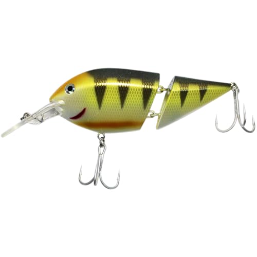 SEABUZZ Wobbler für Hecht & Wels und Zander 38g x 12cm Flachläufer 4,5-6m - Angelköder mit 2 Drillingshaken - Raubfisch Angeln Köder - Kunstköder - Hechtköder - Fishing Lures – Fischköder (P) von SeaBuzz