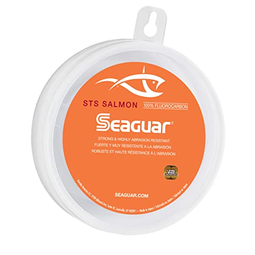 Seaguar Unisex-Erwachsene 20STS100, STS Stahlkopf für Lachs und Forellen, Süßwasser-Fuorocarbon-Schnur, 0,40,6 cm Durchmesser, 9 kg, 9 m, farblos, 20-Pound/100-Yard von Seaguar