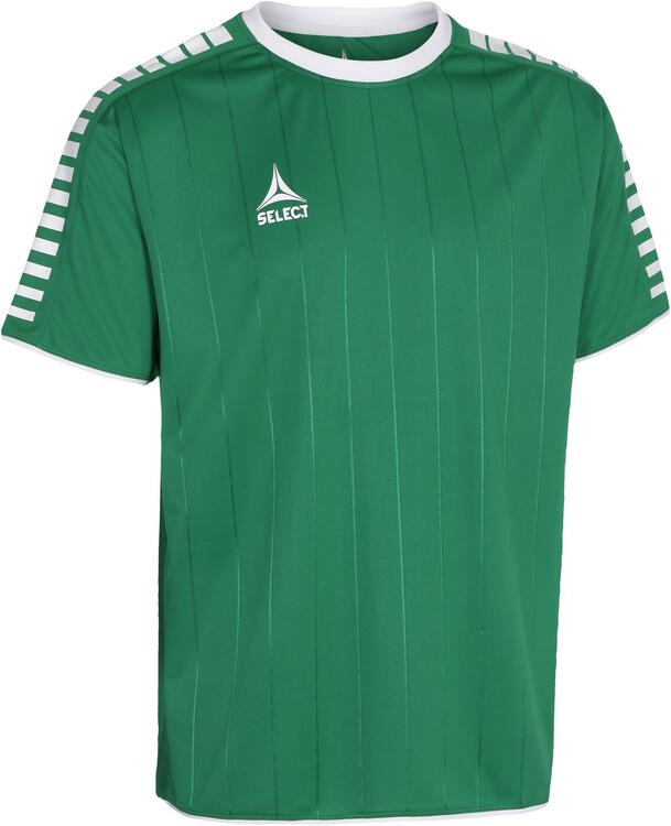 Select Argentina Trikot gr?n wei? 6225002444 Gr. M Select Argentina Trikot gr?n wei? 6225002444 Gr. M von Select