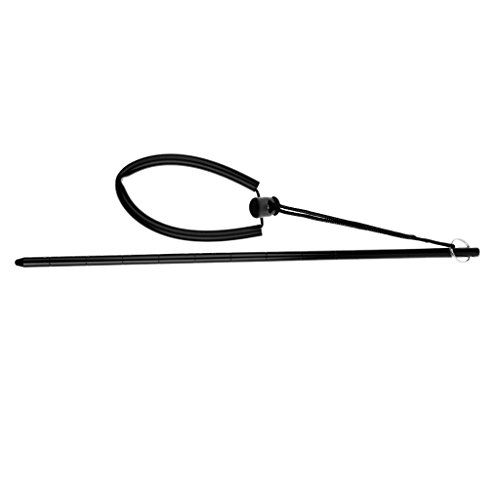 Sharplace Riffstab - Taucher Zeigestab mit Handschlaufe, Schwarz von Sharplace