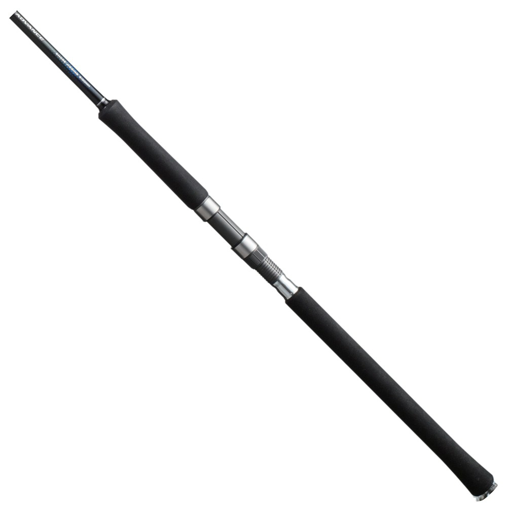 Shimano Fishing 19salty Advance Shore Jig 100h Baitcasting Rod Silber 3.05 m / 100 g von Shimano Fishing