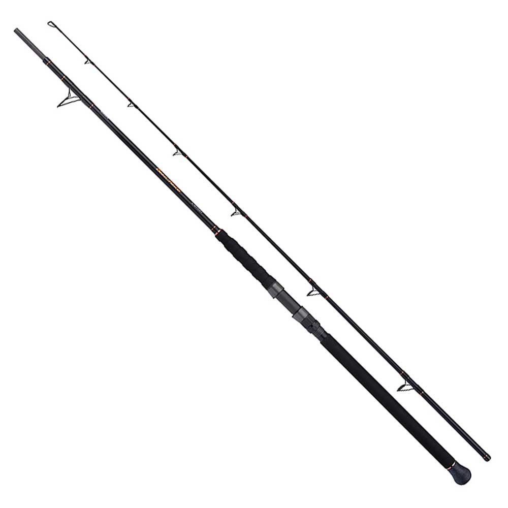Shimano Fishing Beastmaster Multi Catfish Rod Silber 2.30 m / 200 g von Shimano Fishing