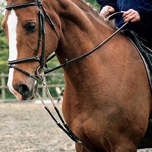 Shires Nylon harbridge Erste-Hilfe -Schulung Pony schwarz - Black Webbing von Shires