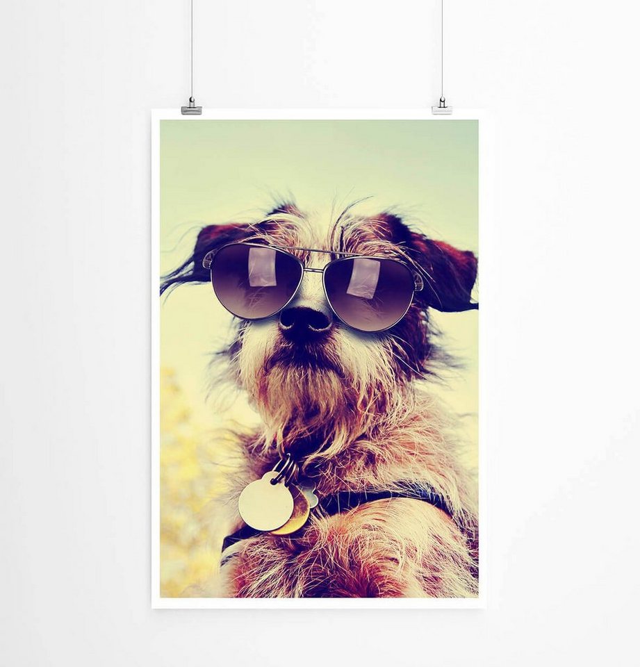 Sinus Art Poster Tierfotografie 60x90cm Poster Cooler Chihuahua Terrier mit Sonnenbrille von Sinus Art