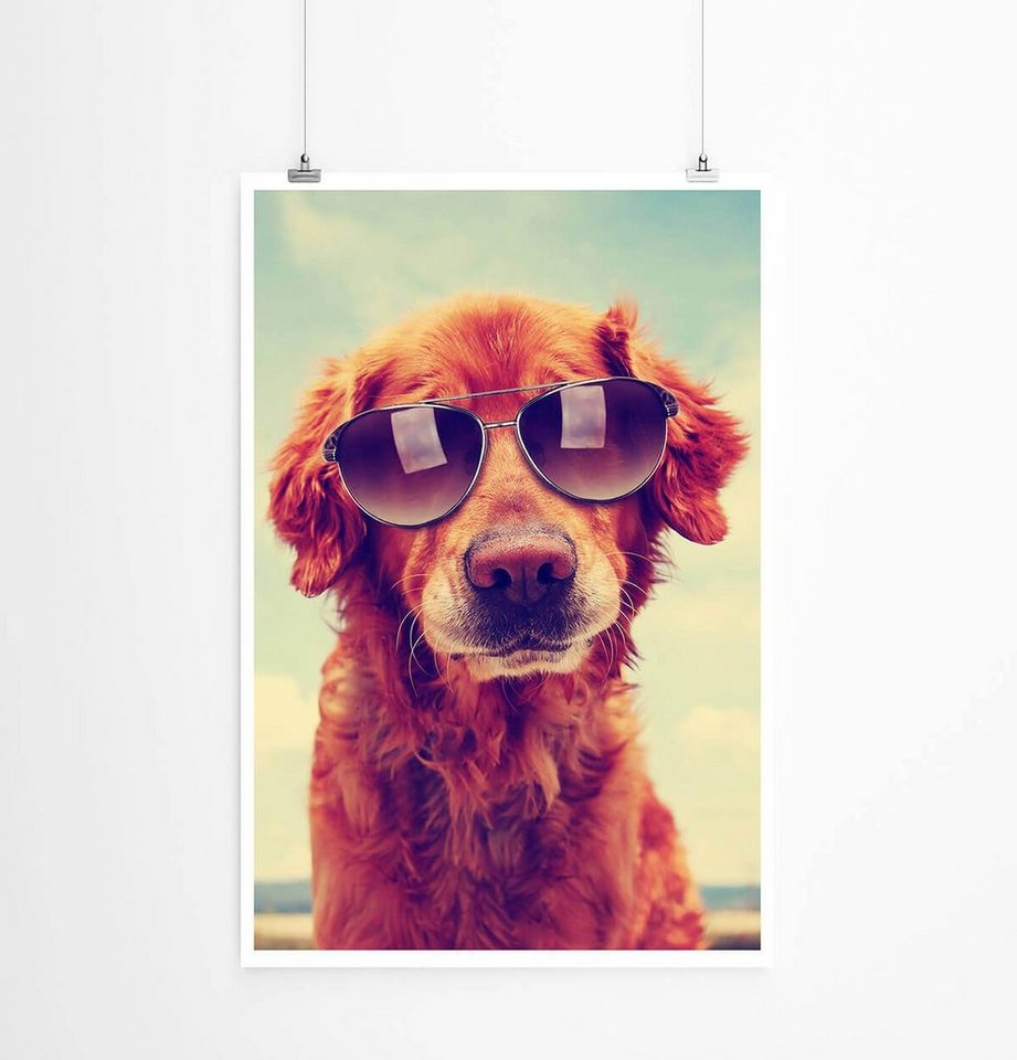 Sinus Art Poster Tierfotografie 60x90cm Poster Cooler Golden Retriever mit Sonnenbrille von Sinus Art