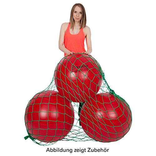 Sport-Tec Ballnetz für 3 Gymnastikbälle Aufbewahrungshilfe Transporttasche Aufhängung GRÜN von Sport-Tec