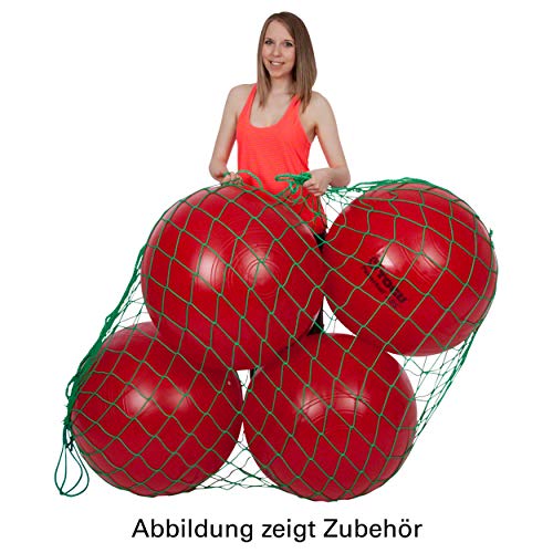 Sport-Tec Ballnetz für 4 Gymnastikbälle Aufbewahrungshilfe Transporttasche Aufhängung GRÜN von Sport-Tec