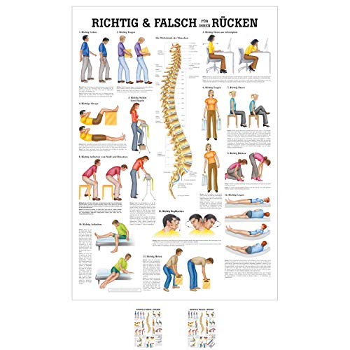 Sport-Tec Richtig u. falsch für Ihren Rücken Mini-Poster Anatomie 34x24 cm med. Lehrmittel von Sport-Tec