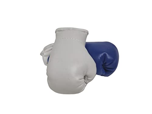 Mini Boxhandschuhe blau weiß, 1 Paar (2 Stück) Miniboxhandschuhe z. B. für Auto-Innenspiegel von Sportfanshop24