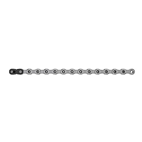 SRAM Chain Kette Strebenschutz Führung XX1 Hollow Pin, Silber, Standard von Sram