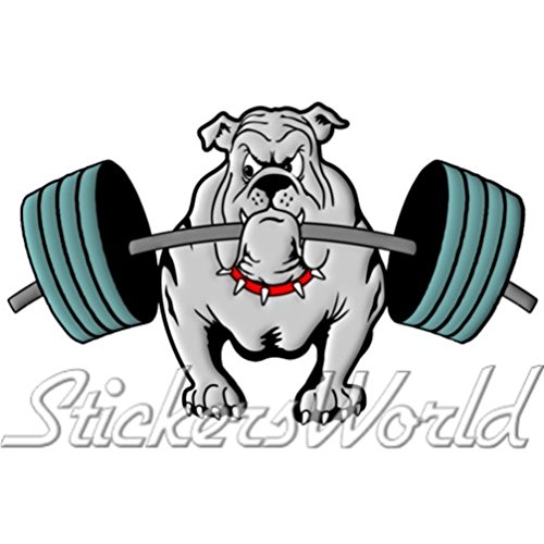 Bulldog Gewichtheben Hund 15,2 cm (150 mm) Vinyl Bumper Aufkleber, Aufkleber von StickersWorld