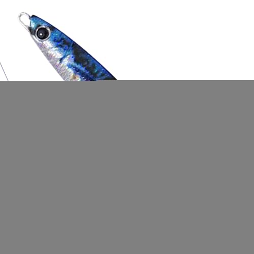 Angelköder, Lichtreflektierender Eisenplatten-Hartköder, Sichtbare Schwimmköder für Forelle Barsch Wels Süßwasser Meer Nacht Eisangeln von Sulxyi