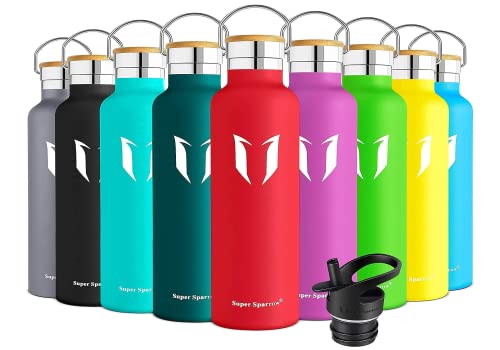 Super Sparrow Trinkflasche Edelstahl -620ml- Auslaufsicher Thermoskanne, BPA-Frei Wasserflasche - Kohlensäure Thermosflasche für Kinder, Sprudel, Sport, Schule, Fitness, Outdoor, Camping von Super Sparrow