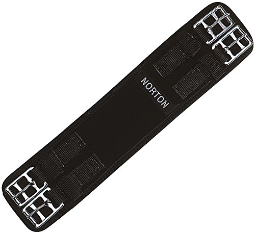 Norton Kurzgurt 60 cm Schwarz von Symantec