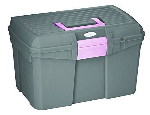 Norton 700004 Tack Box, grau/pink, 40 x 27.5 x 24.5 cm von Symantec