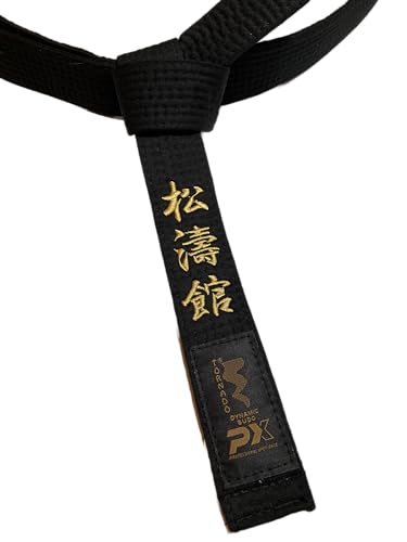 TEKKA BUDO Karategürtel schwarz - Bestickt - Shotokan - 330 cm - Schriftzeichen Bestickung Gold - Schwarzgurt Kanji japanisch - Schwarzer Gürtel von TEKKA BUDO