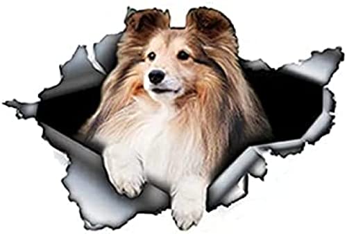 Autoaufkleber 13 cm X 8 cm Sheltie Torn Metal Autoaufkleber 3D Haustier Hund Auto Dekoration Aufkleber Reflektierender Wasserdichter Aufkleber Vinyl von TGCXHRF