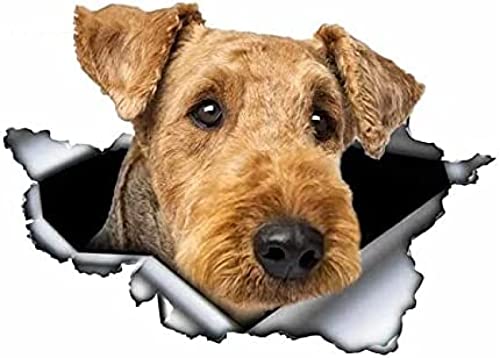 Lustiger Autoaufkleber Hund 25 cm Autoaufkleber Airedale Terrier 3D Original Zerrissenes Metall Design Vinyl Aufkleber Lustiger Hund Aufkleber von TGCXHRF