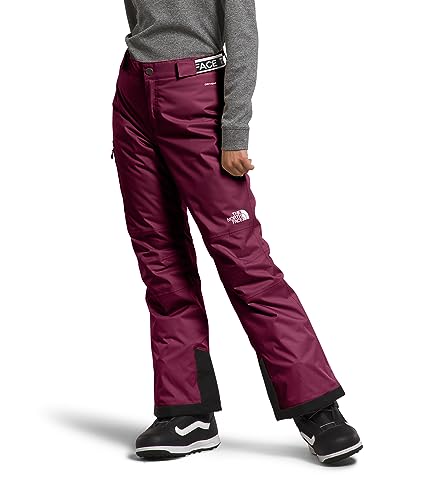 THE NORTH FACE Freedom Hose Boysenberry XXL von THE NORTH FACE