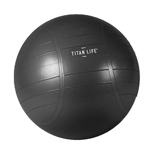 TITAN LIFE Unisex – Erwachsene PRO Gymball 55cm ABS, Grey, one Size von TITAN LIFE
