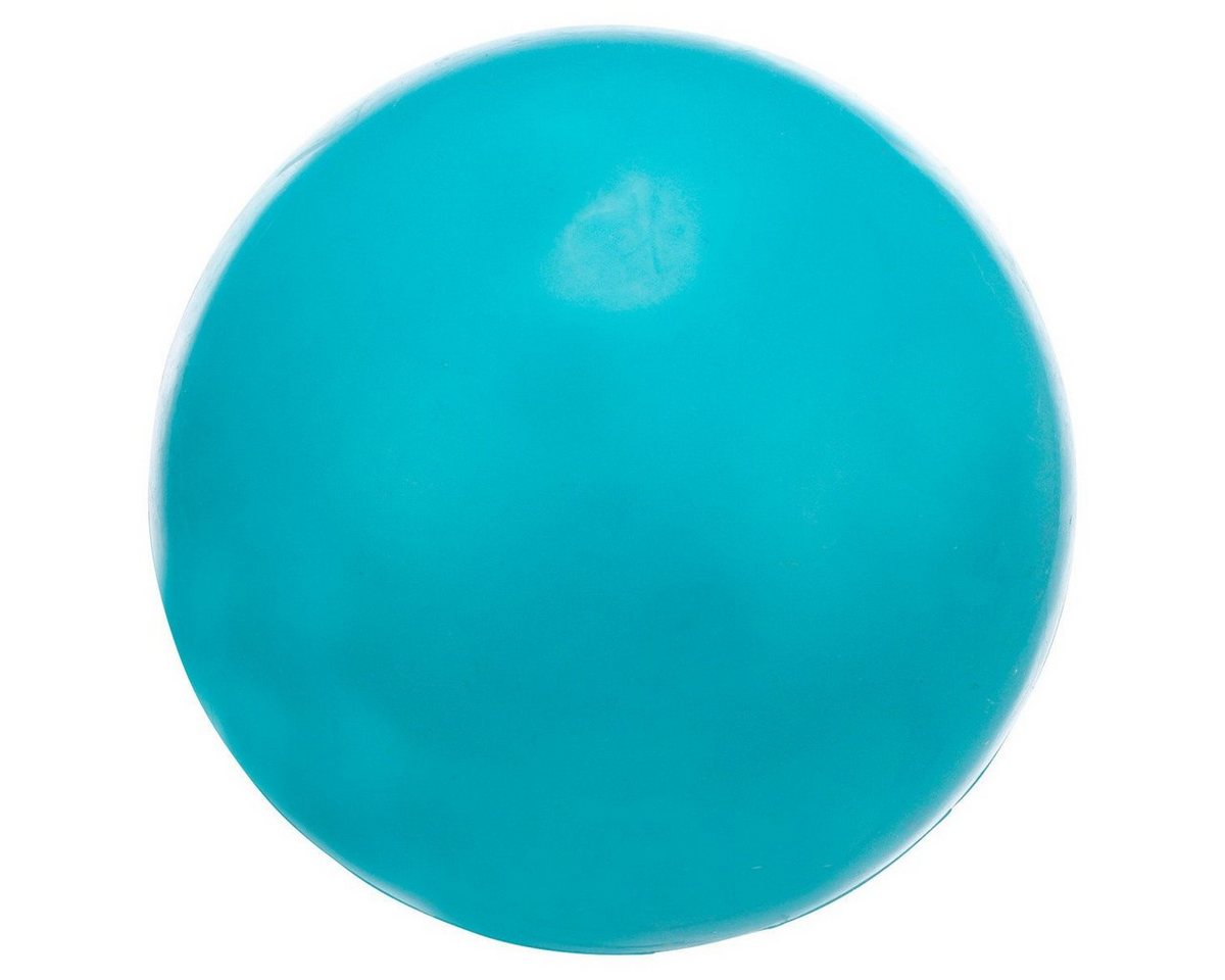 TRIXIE Spielknochen Hundespielzeug Ball, geräuschlos, Durchmesser: 8 cm / Farbe: petrol von TRIXIE