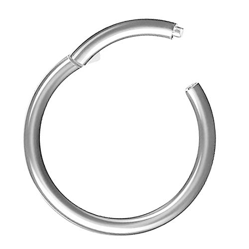 Piercing Ring Segmentring Clicker Scharnier Septum Tragus Helix Ohr Nase Lippe Nasenring Nasenpiercing Lippenpiercing Dünn Silber 1,2mm x 6mm von Taffstyle